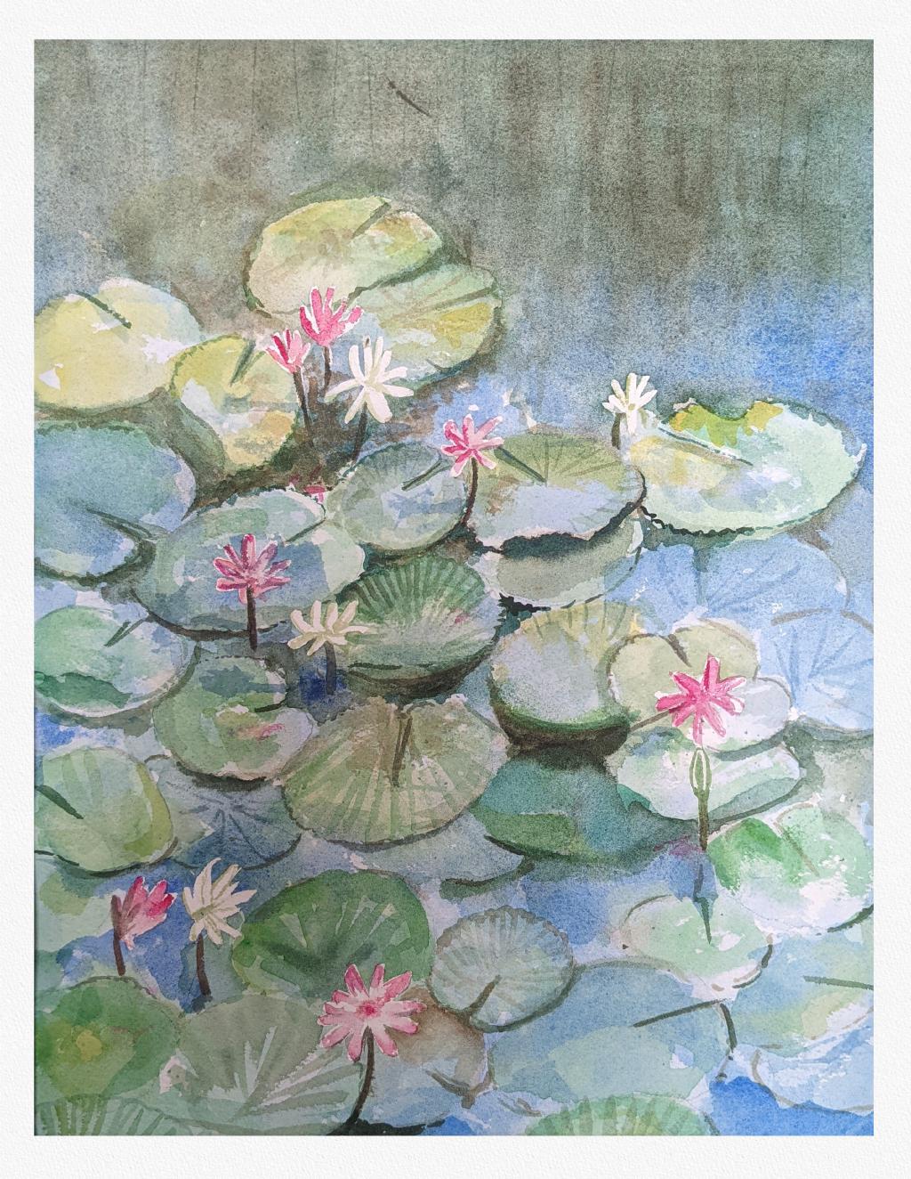 wc-lilies