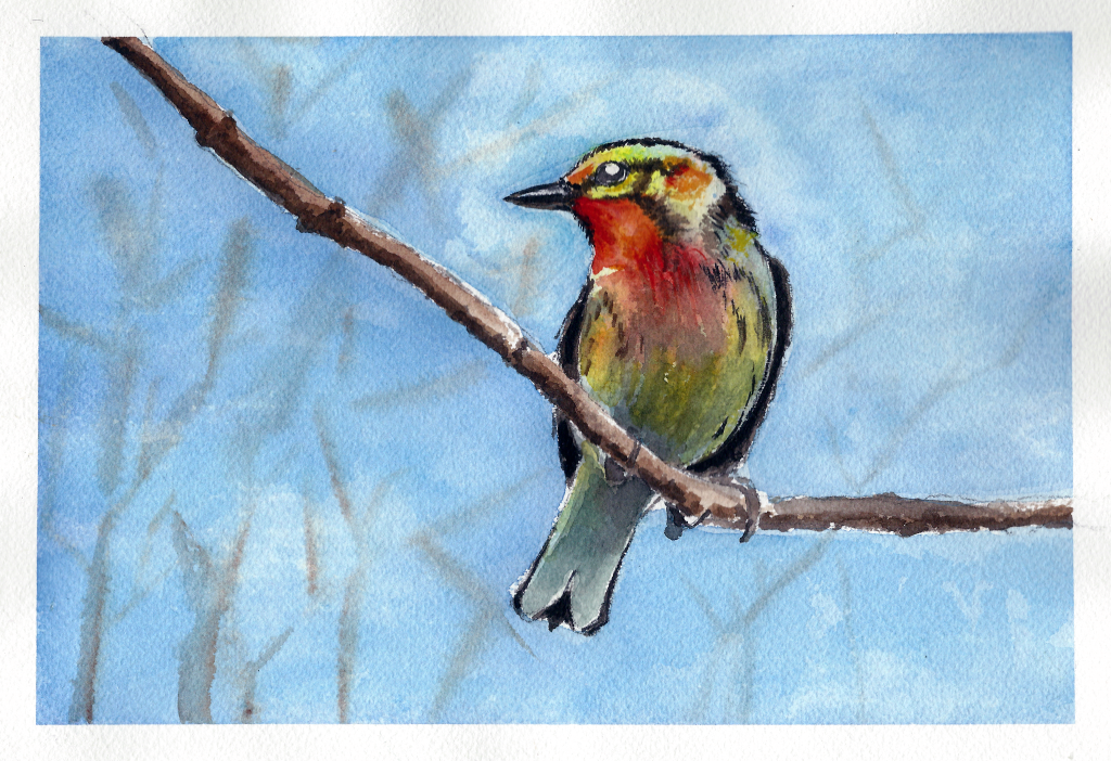 wco-bird03
