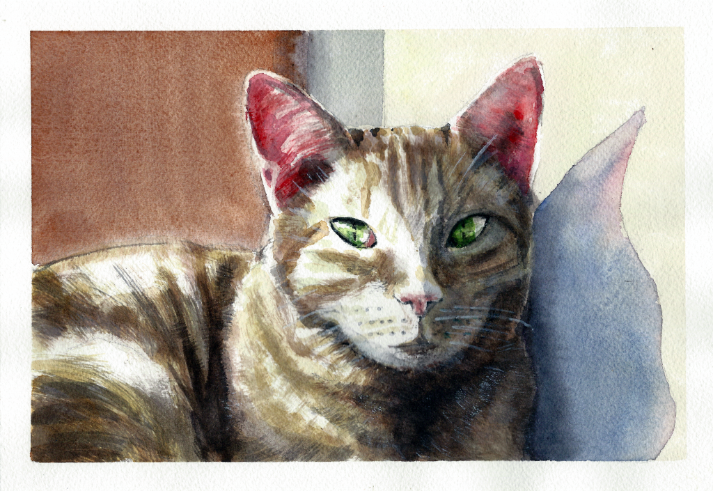wco-cat01