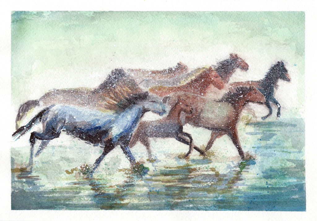 wco-horses