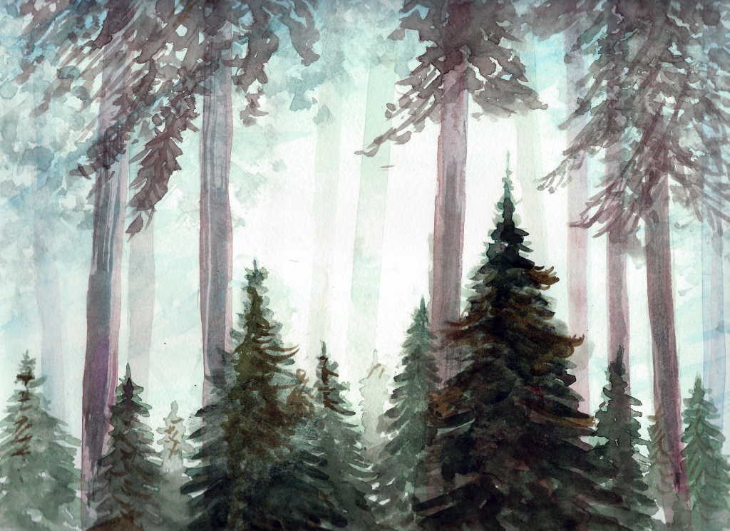wco-landscape01