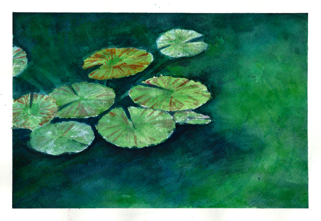 wco-lilypad01