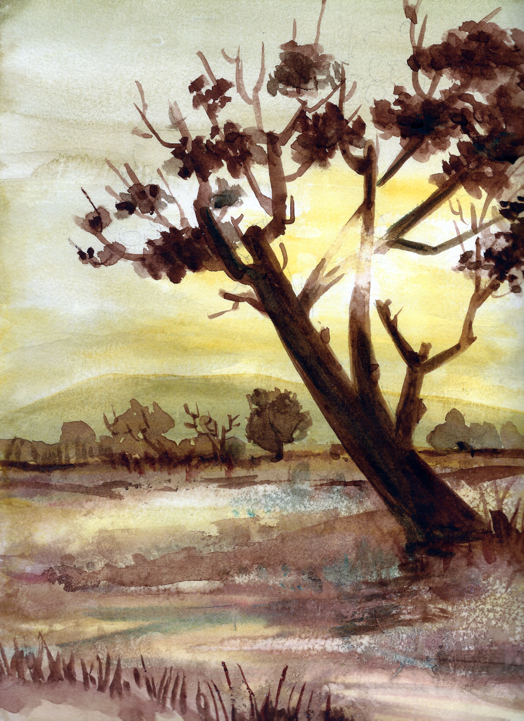 wco-sunset01